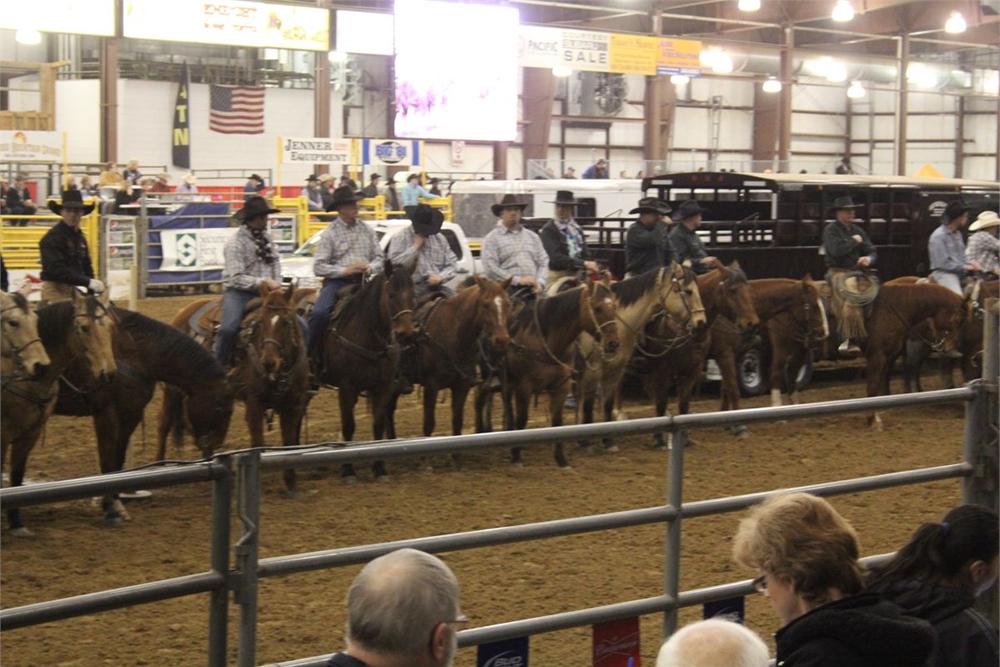 2013 Ranch Rodeo Grand Entry